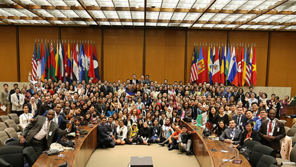 2015 Professional Fellows 