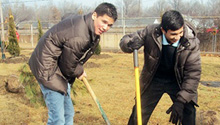 Brazilian youth amassadors plant trees as part of their community service.