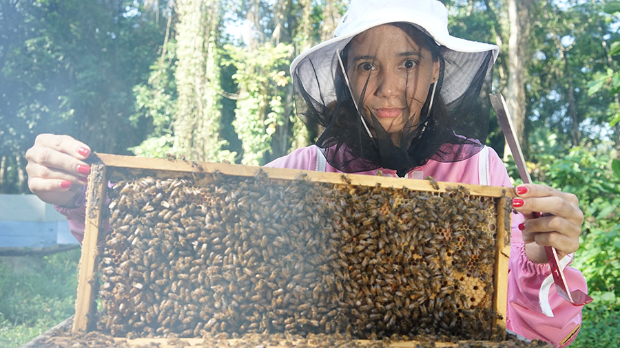 There will be honey': supporting Ukrainian beekeepers in a time of