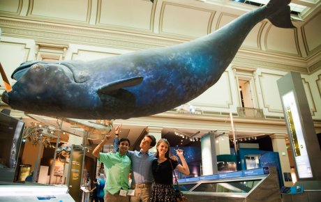 Three students posing in front of a museum whale display