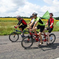 Four people riding on bikes in the sun