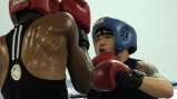 Boxers sparring