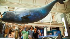 The 2016 Our Ocean, One Future Leadership Conference The 2016 Our Ocean, One Future Leadership Conference